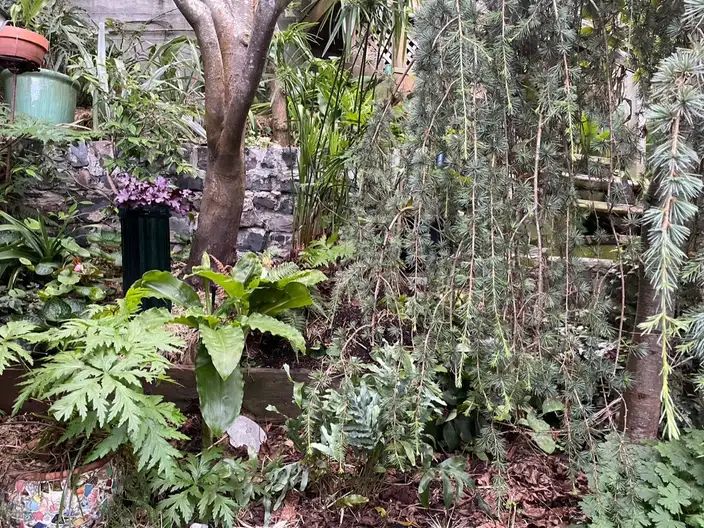 The Garden Conservancy Preservation Partner Garden