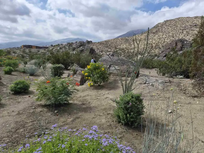 The Garden Conservancy Preservation Partner Garden