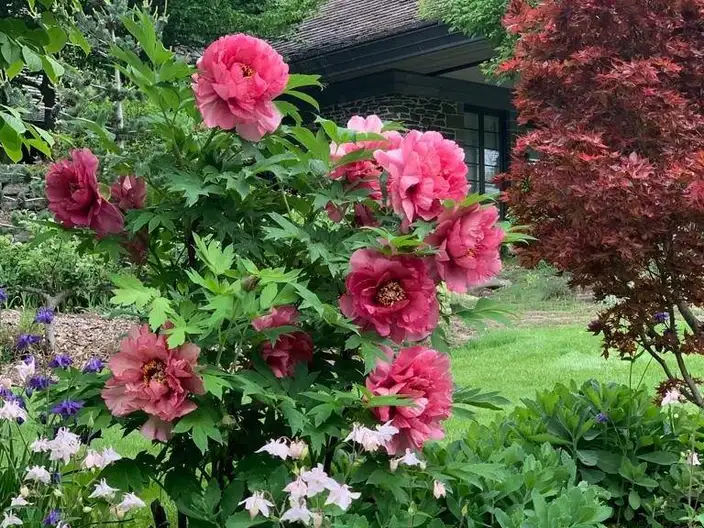 The Garden Conservancy Preservation Partner Garden