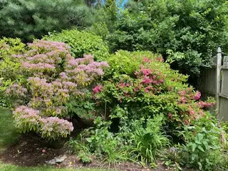 The Garden Conservancy Preservation Partner Garden