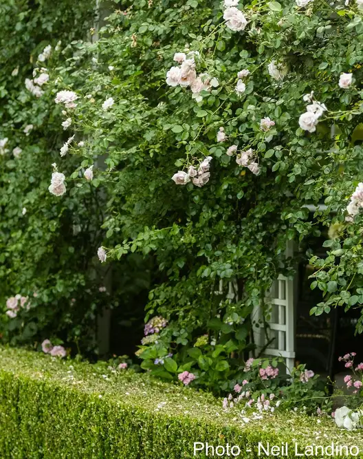 The Garden Conservancy Preservation Partner Garden