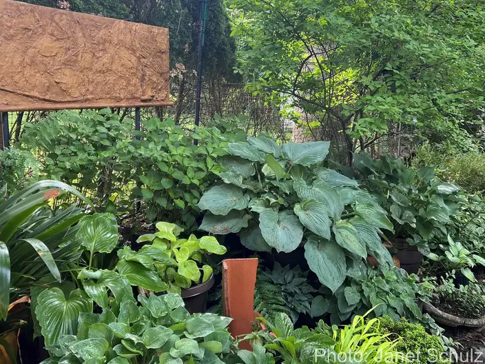 The Garden Conservancy Preservation Partner Garden