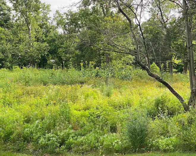 The Garden Conservancy Preservation Partner Garden