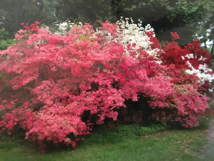 The Garden Conservancy Preservation Partner Garden