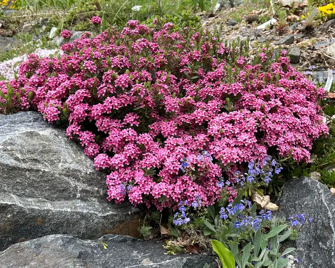 The Garden Conservancy Preservation Partner Garden