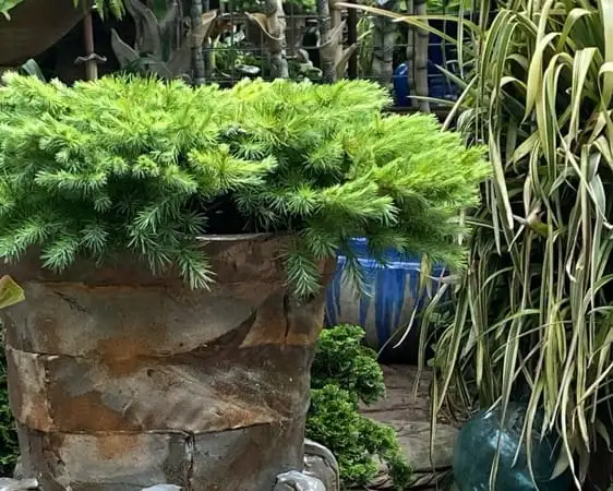 The Garden Conservancy Preservation Partner Garden