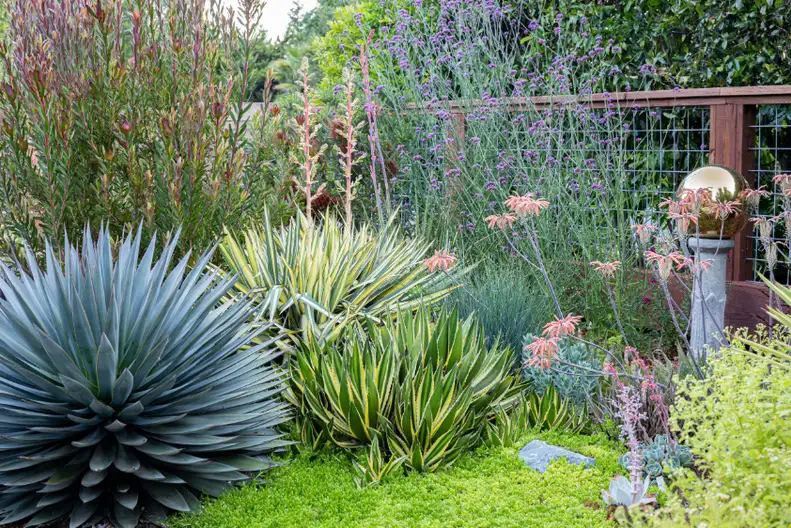 The Garden Conservancy Preservation Partner Garden