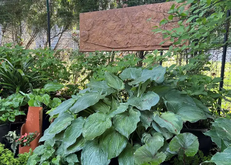 The Garden Conservancy Preservation Partner Garden