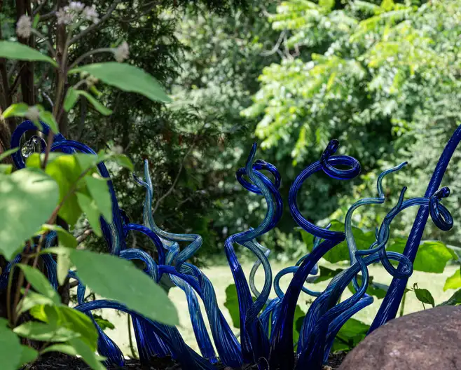 Photo: Suzanne R. Stone