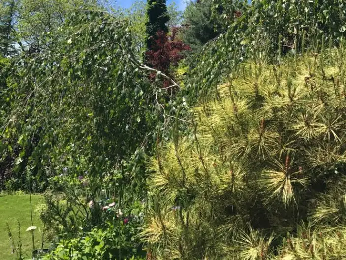 The Garden Conservancy Preservation Partner Garden