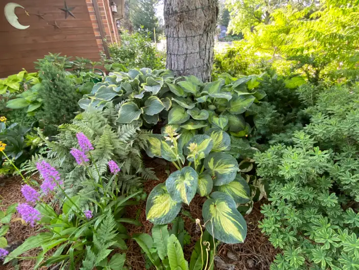 The Garden Conservancy Preservation Partner Garden