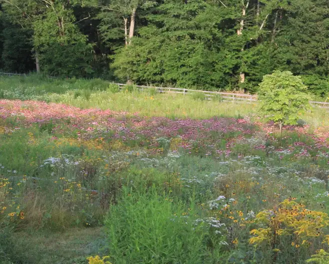 The Garden Conservancy Preservation Partner Garden