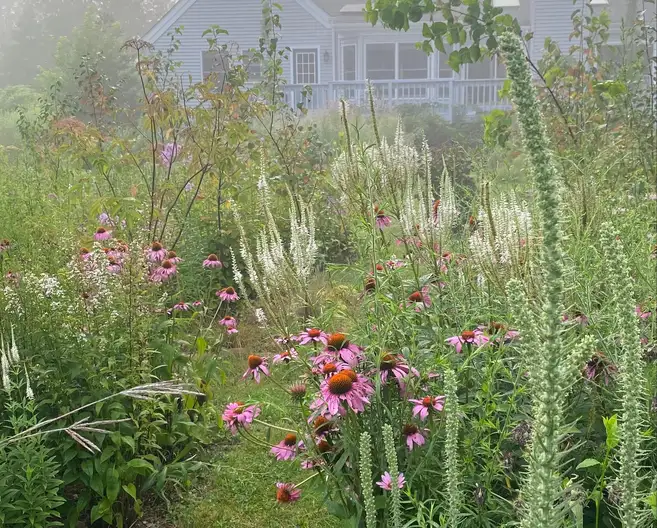 The Garden Conservancy Preservation Partner Garden