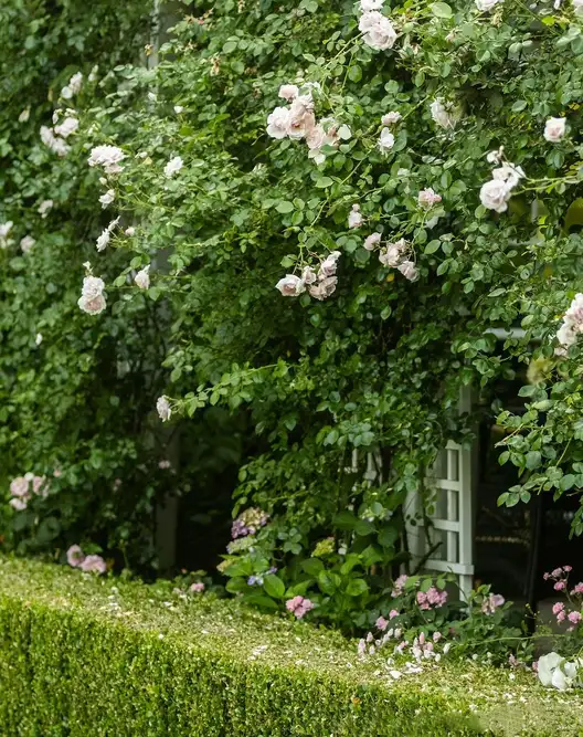 The Garden Conservancy Preservation Partner Garden