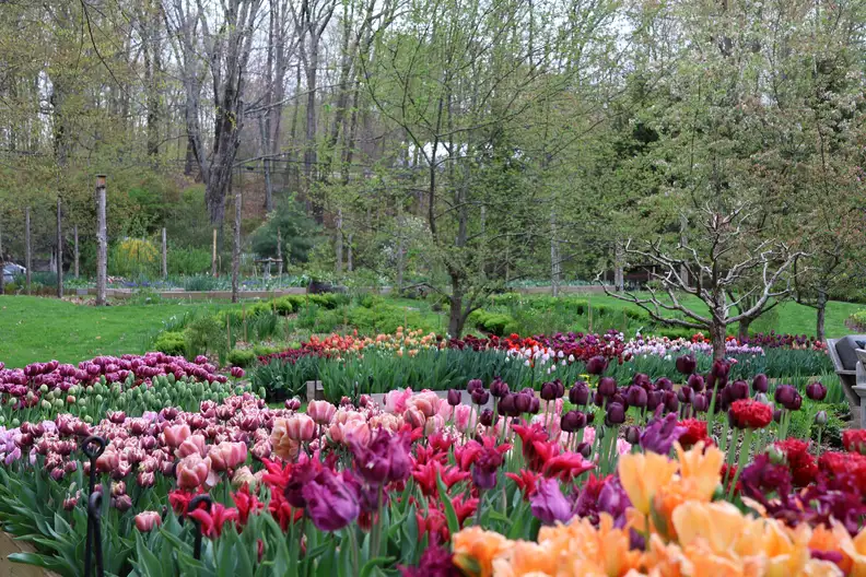 The Garden Conservancy Preservation Partner Garden