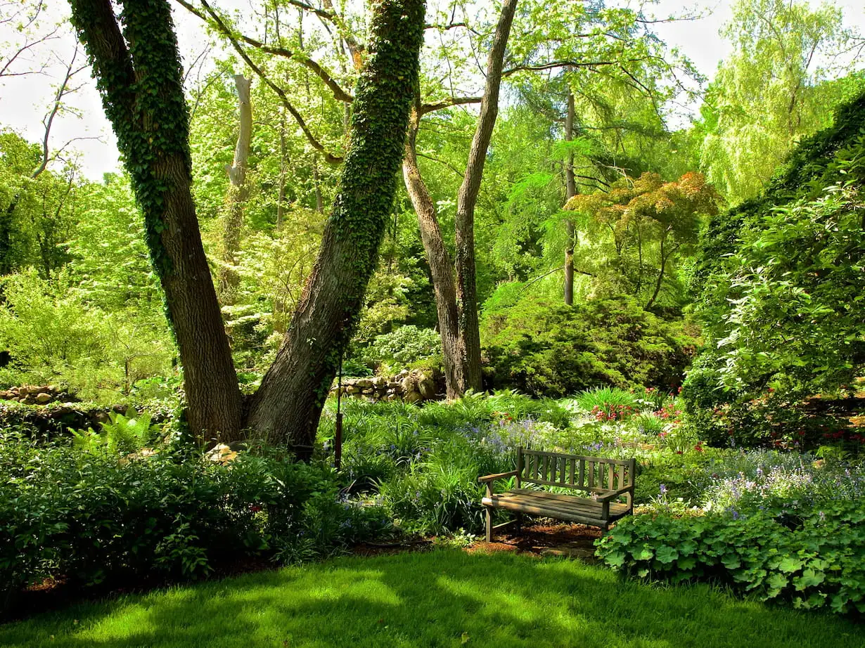 Saturday, May 9 Open Day at Rocky Hills