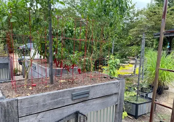 Saturday, May 30 Open Day at Fox Mountain Falls