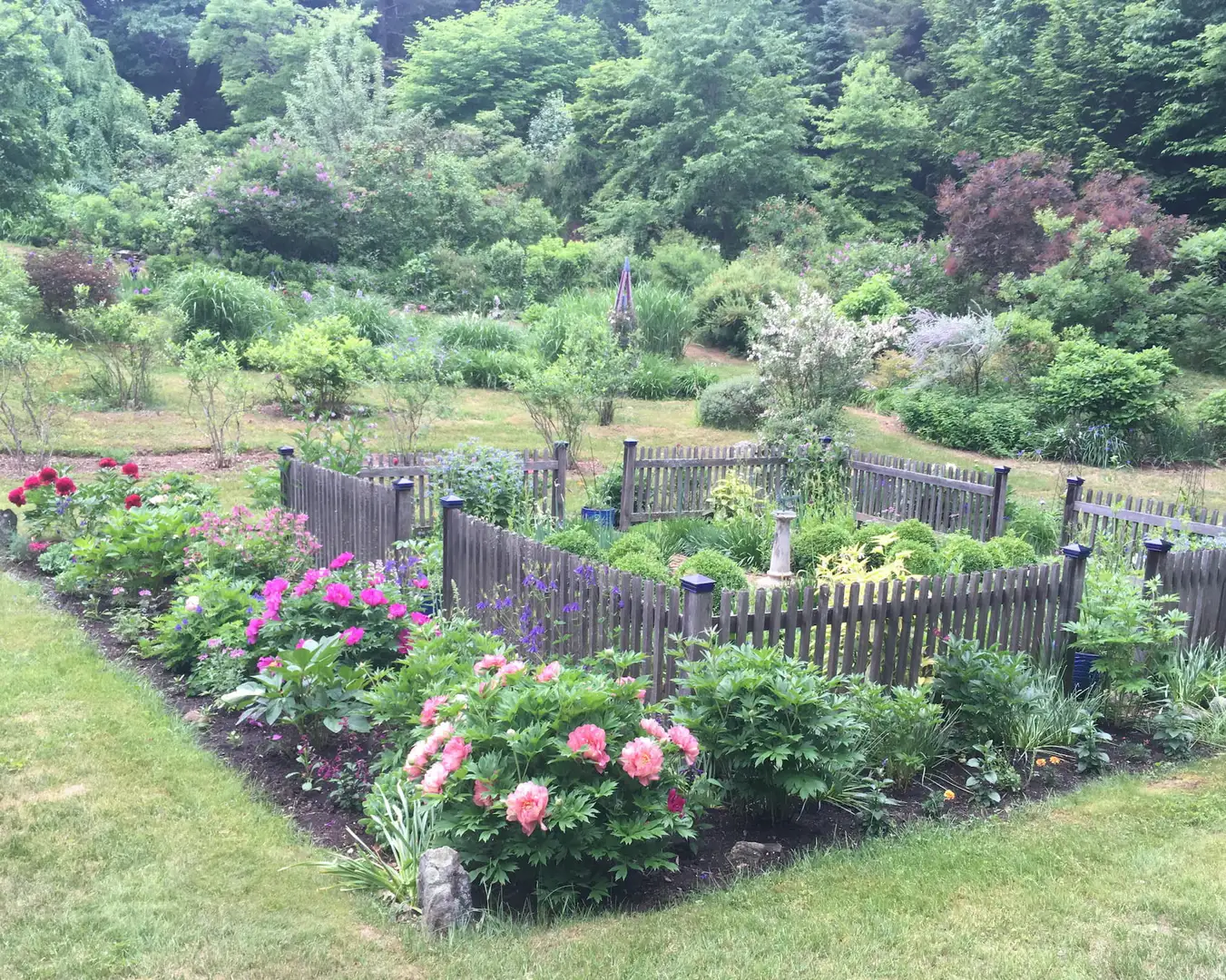 Sunday, June 7 Open Day at Garden of Michael and Betsy Gordon
