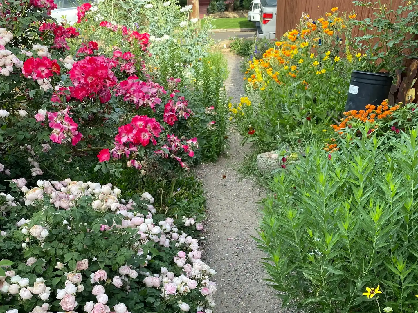 Saturday, June 13 Open Day at Waves of Foliage, Flowers and Fragrance