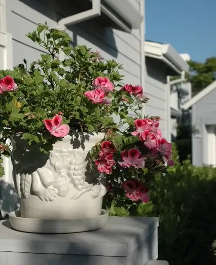 Saturday, April 25 Open Day at Cottage Garden