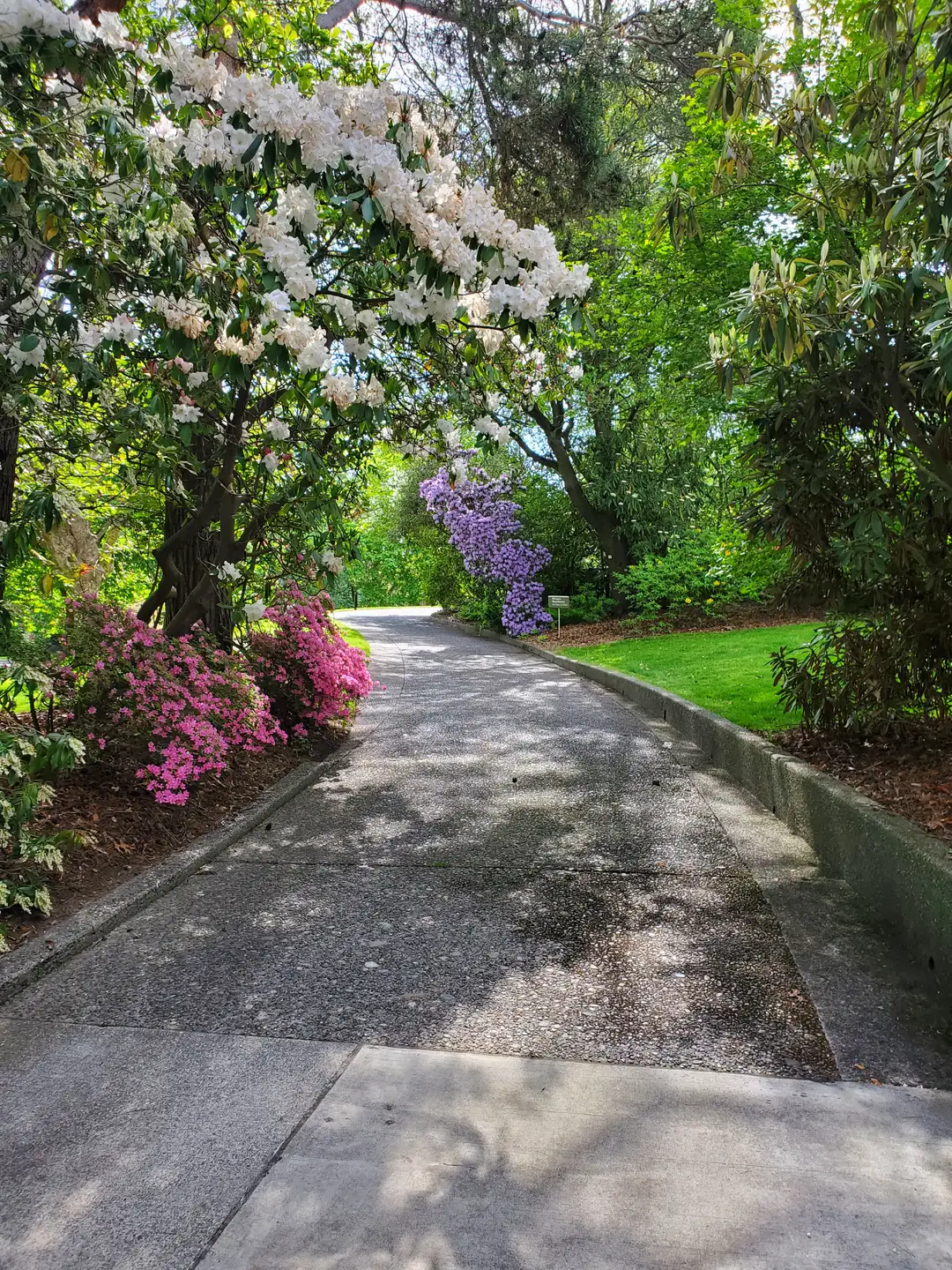 GCNN Spring Workshop: Designing Docent Programs that Engage and Inspire