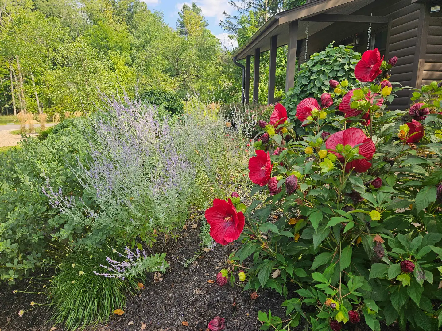 Saturday, June 27 Open Day at Strawberry Fields Forever Farm Farmhouse Garden