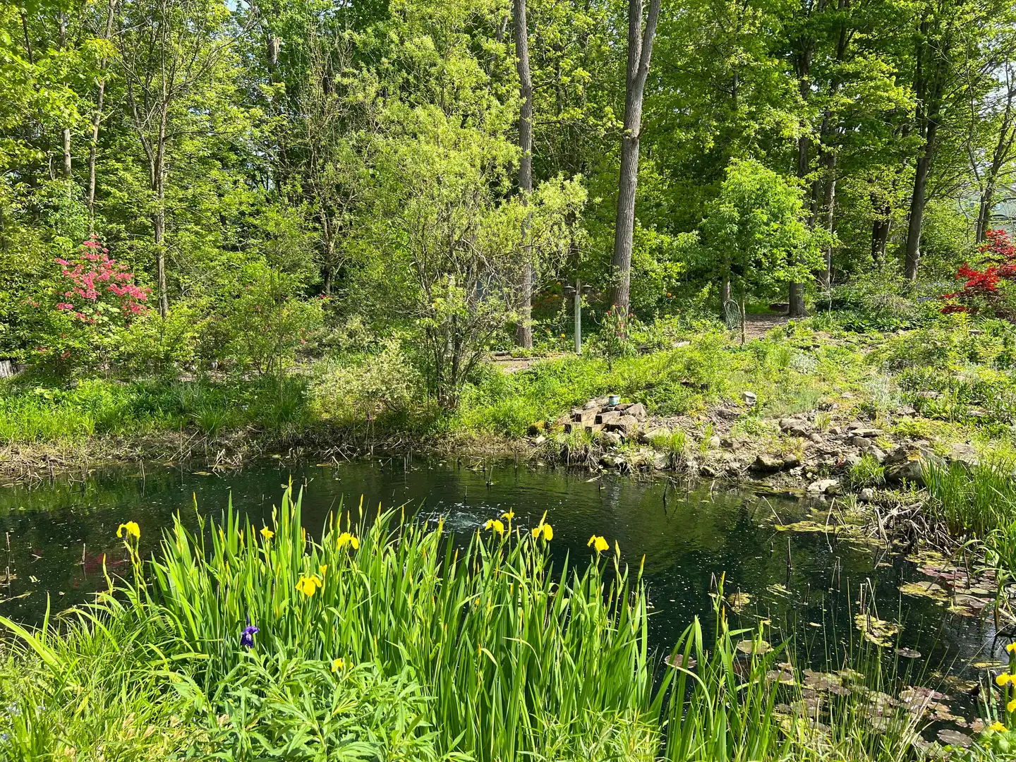 Saturday, June 27 Open Day at Valley Sanctuary, Session 2: 12pm–2pm