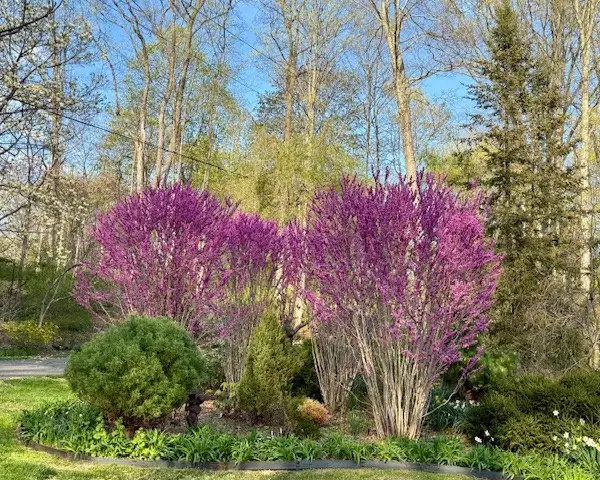 Sunday, June 28 Open Day at Michael A. Katz, Session 1: 10am–12pm