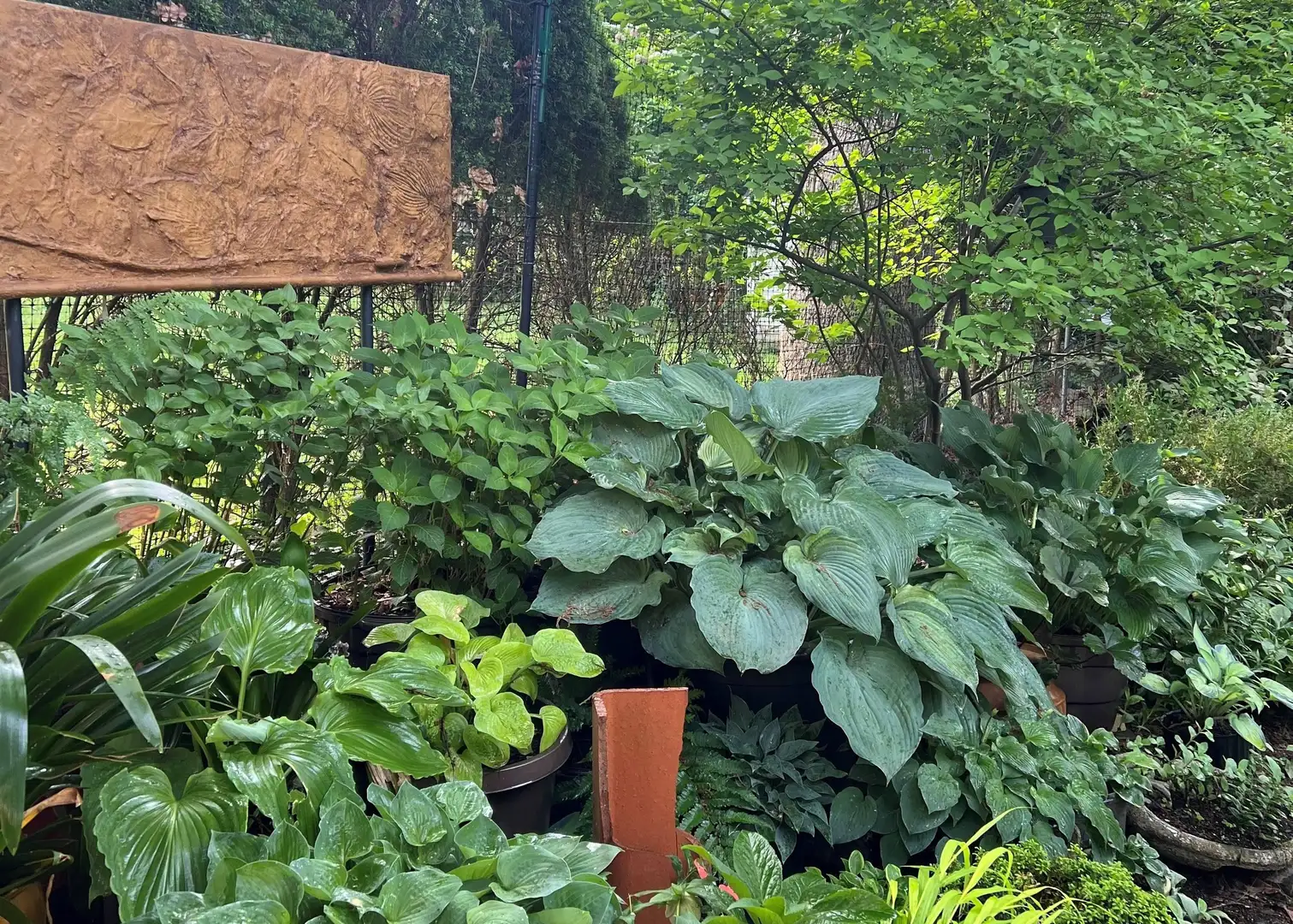 Saturday, May 16 Open Day at Janet Schulz