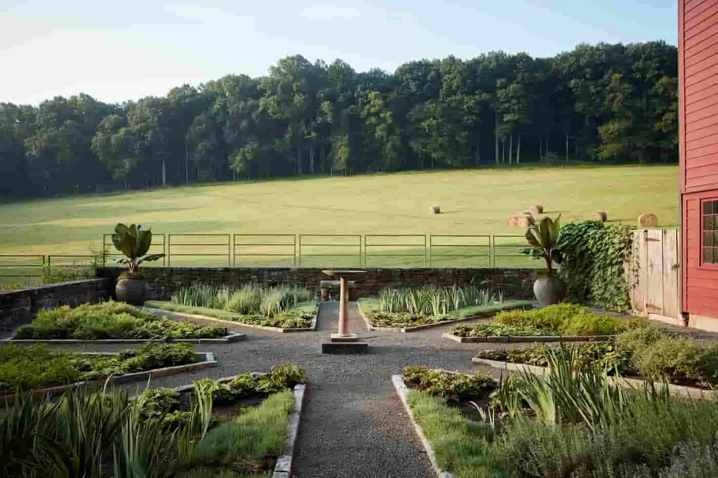 Saturday, June 13 Open Day at Bird Haven Farm