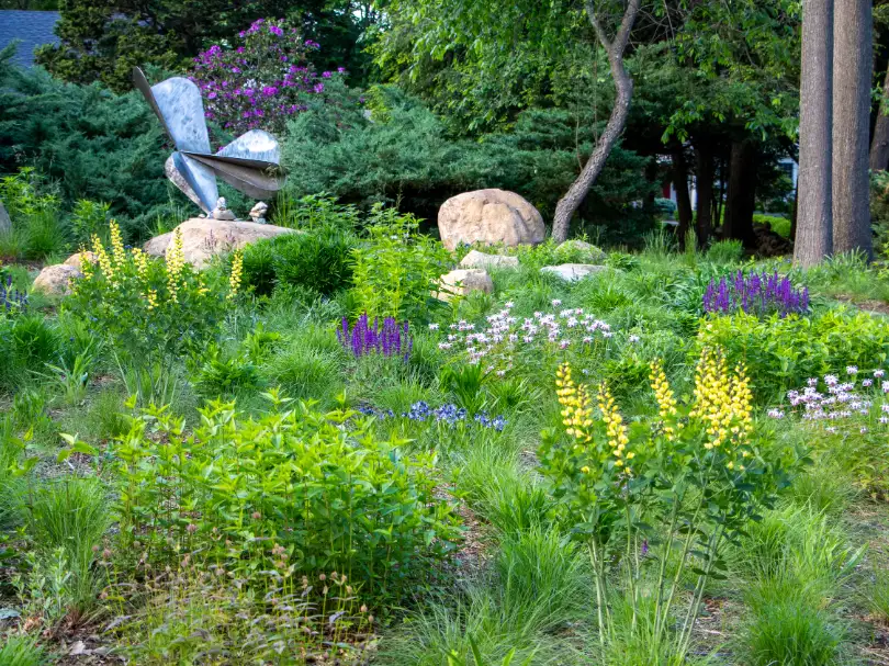 Saturday, June 27 Open Day at The Pocket Meadow Garden