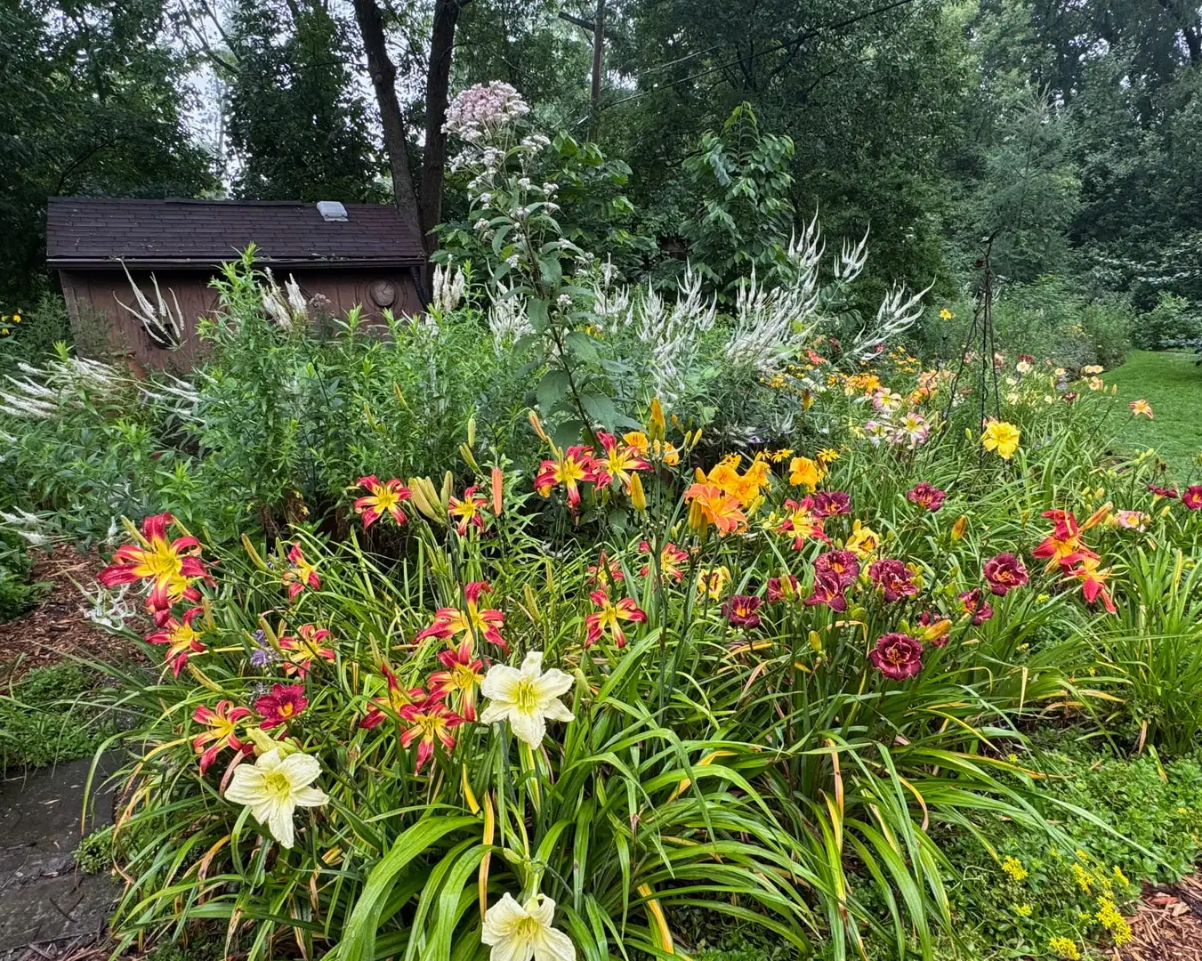 Sunday, July 26 Open Day at Anglewood Acre