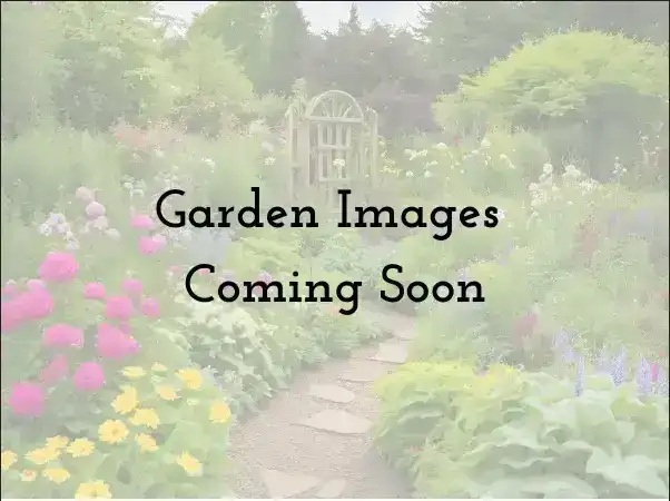 Saturday, July 18 Open Day at The Coolidge's Garden