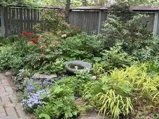 Saturday, June 13 Open Day at Kinsey-Pope Garden, Session 2